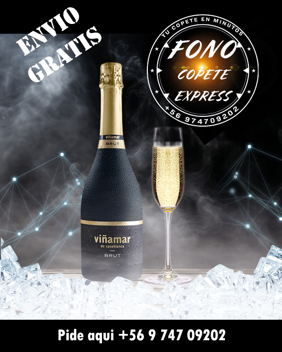 ESPUMANTE BRUT VIÑA MAR CON ENVIO GRATIS